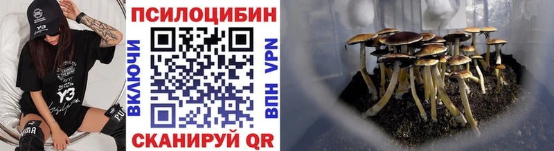 Купить закладки  Новохопёрск  Псилоцибиновые грибы Psilocybe 